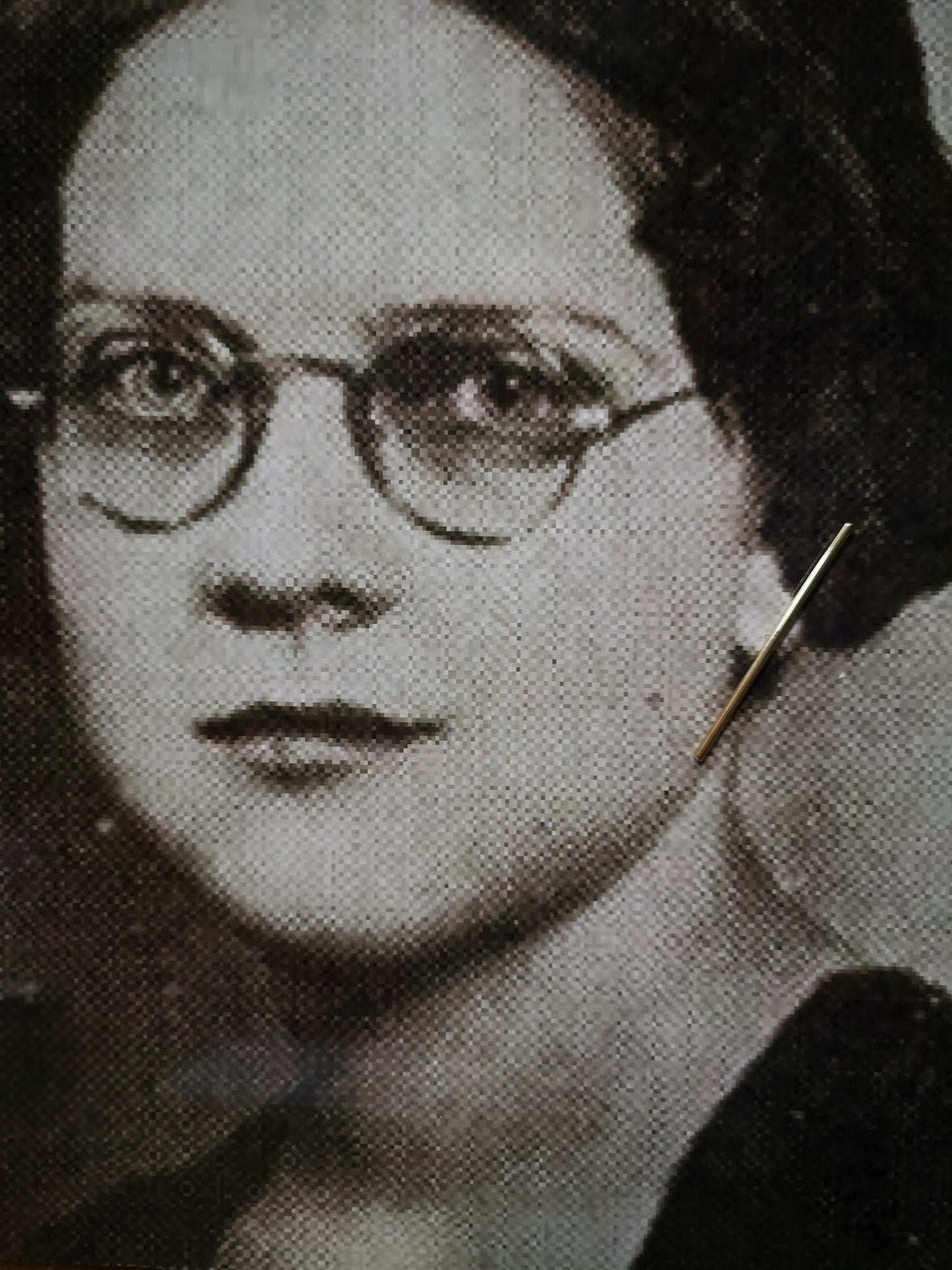 Lillnålen, 50 mm stick earrings