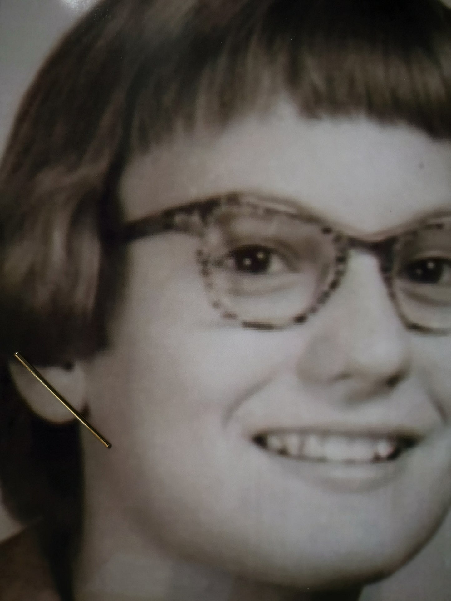 Lillnålen, 50 mm stick earrings